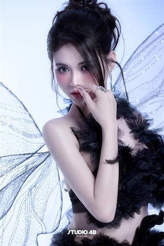 BLACK BUTTERFLY2